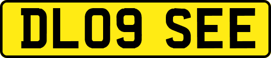 DL09SEE