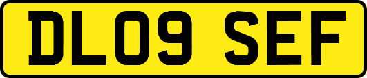 DL09SEF