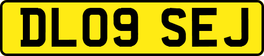 DL09SEJ