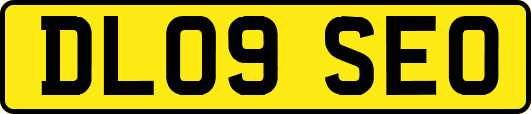 DL09SEO