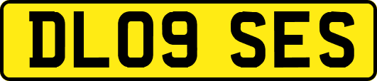 DL09SES