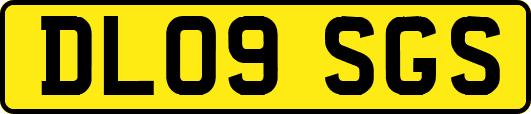 DL09SGS