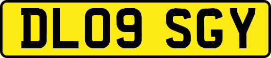 DL09SGY