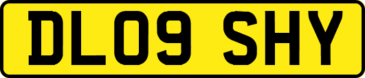 DL09SHY