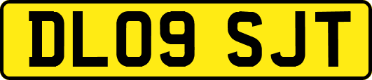 DL09SJT