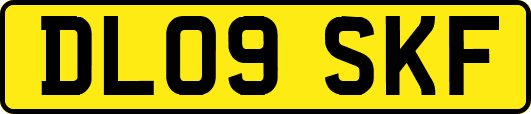 DL09SKF