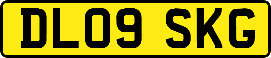 DL09SKG