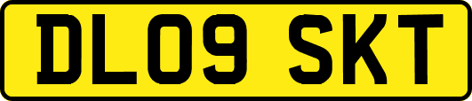 DL09SKT