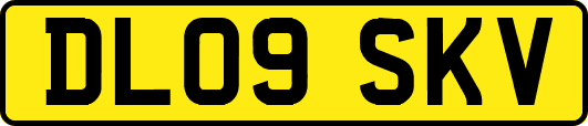 DL09SKV