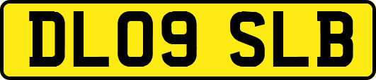 DL09SLB