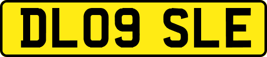 DL09SLE