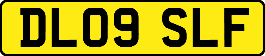 DL09SLF