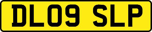 DL09SLP