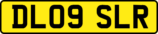 DL09SLR