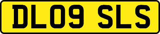 DL09SLS