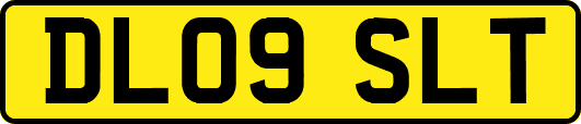 DL09SLT