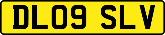 DL09SLV