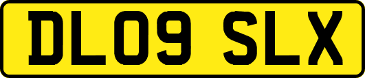 DL09SLX