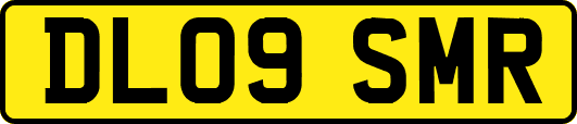 DL09SMR