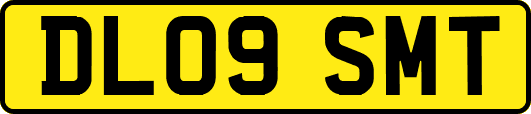DL09SMT