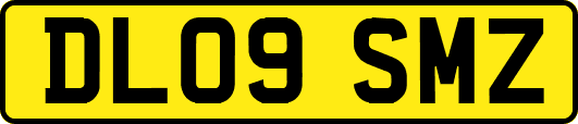DL09SMZ