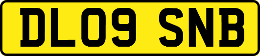 DL09SNB