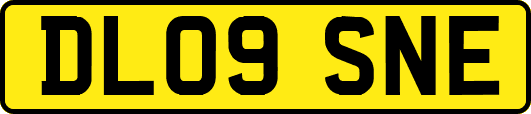 DL09SNE