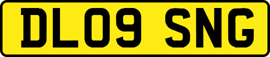 DL09SNG
