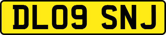 DL09SNJ