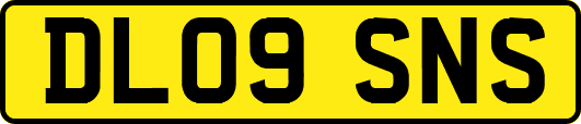 DL09SNS