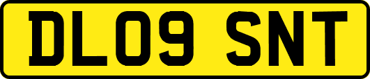 DL09SNT