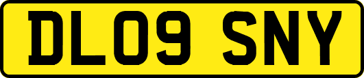 DL09SNY