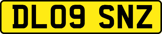 DL09SNZ