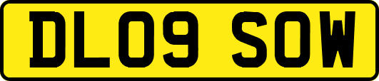 DL09SOW