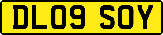 DL09SOY
