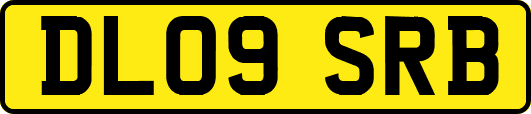 DL09SRB