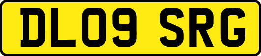 DL09SRG