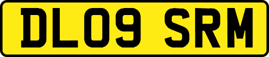 DL09SRM