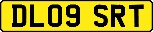 DL09SRT