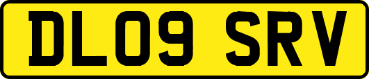 DL09SRV