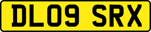 DL09SRX