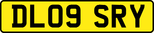 DL09SRY