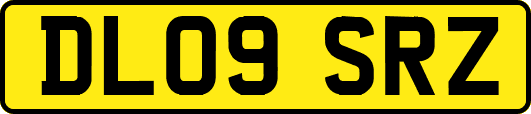 DL09SRZ