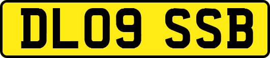 DL09SSB