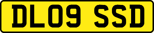 DL09SSD