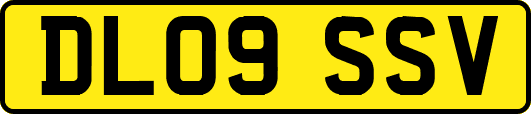 DL09SSV