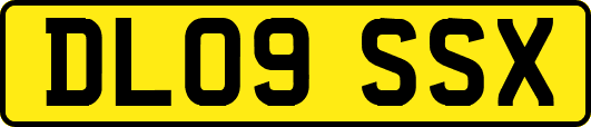 DL09SSX
