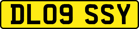 DL09SSY