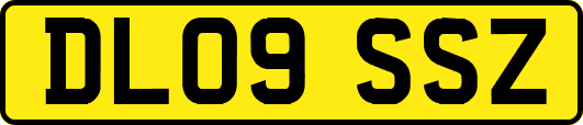 DL09SSZ