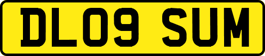 DL09SUM